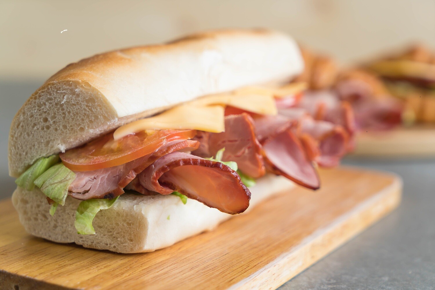Sub Sandwich Franchise for sale in Mississippi